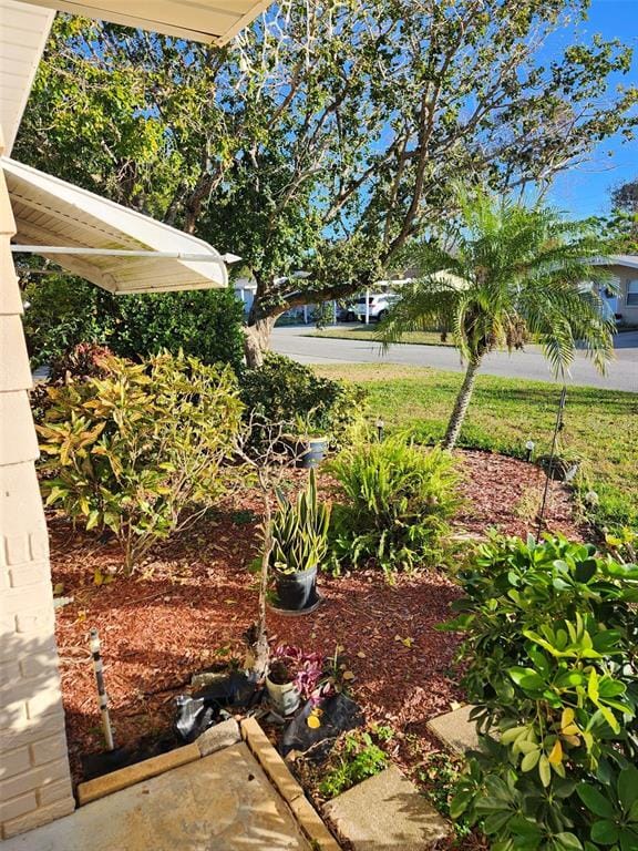 3251 Devonshire Dr in Holiday, FL - Building Photo - Building Photo