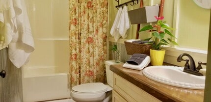 203 Lucky Horse Ln in Lake Lure, NC - Building Photo - Building Photo