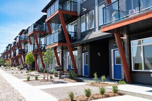 Essential Aurora in Edmonton, AB - Building Photo