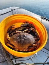 19118 Soundview Dr NW in Stanwood, WA - Building Photo - Building Photo