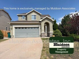 14149 Petrel Dr in Colorado Springs, CO - Building Photo