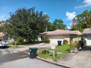 10633 Windsor Pl in Orlando, FL - Building Photo - Building Photo