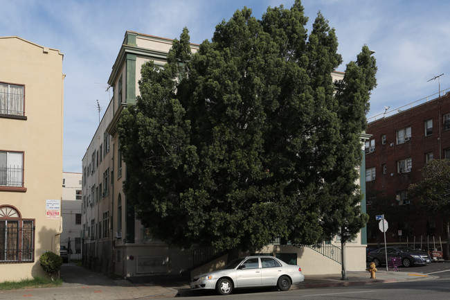 Leeward & 8th St Apartments in Los Angeles, CA - Building Photo - Building Photo