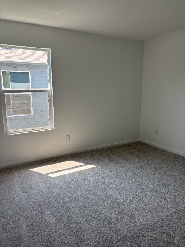 3040 Burmese St in Providence Village, TX - Building Photo - Building Photo