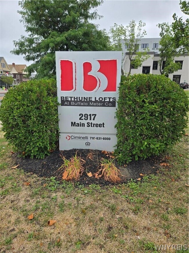 2917 Main St in Buffalo, NY - Building Photo - Building Photo