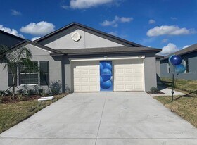 5517 Blue Azure Dr in Wimauma, FL - Building Photo