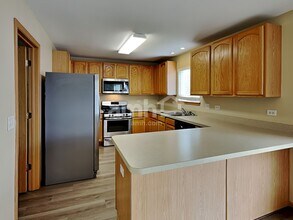 25651 Barrow Rd in Manhattan, IL - Building Photo - Building Photo