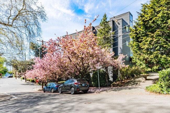 Lakeview Place