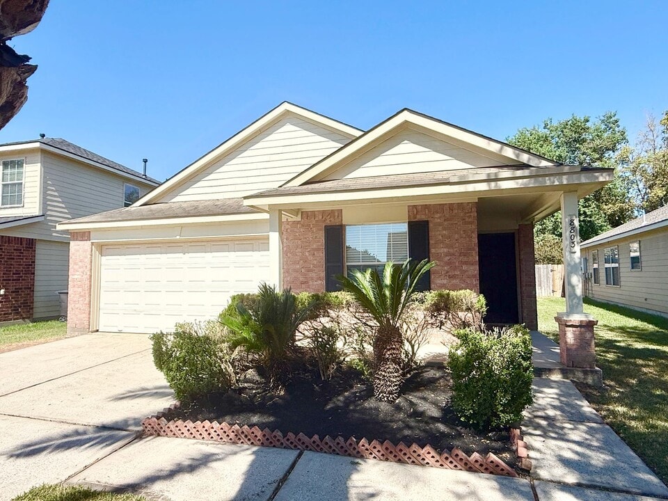 8803 Danbury Hollow Ln in Houston, TX - Building Photo