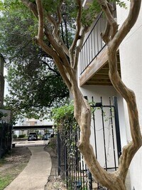 2425 Augusta Dr photo'