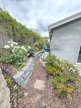 8073 Hillandale Dr in San Diego, CA - Building Photo - Building Photo