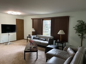 1004 E Callero Cir in Mount Prospect, IL - Building Photo - Building Photo