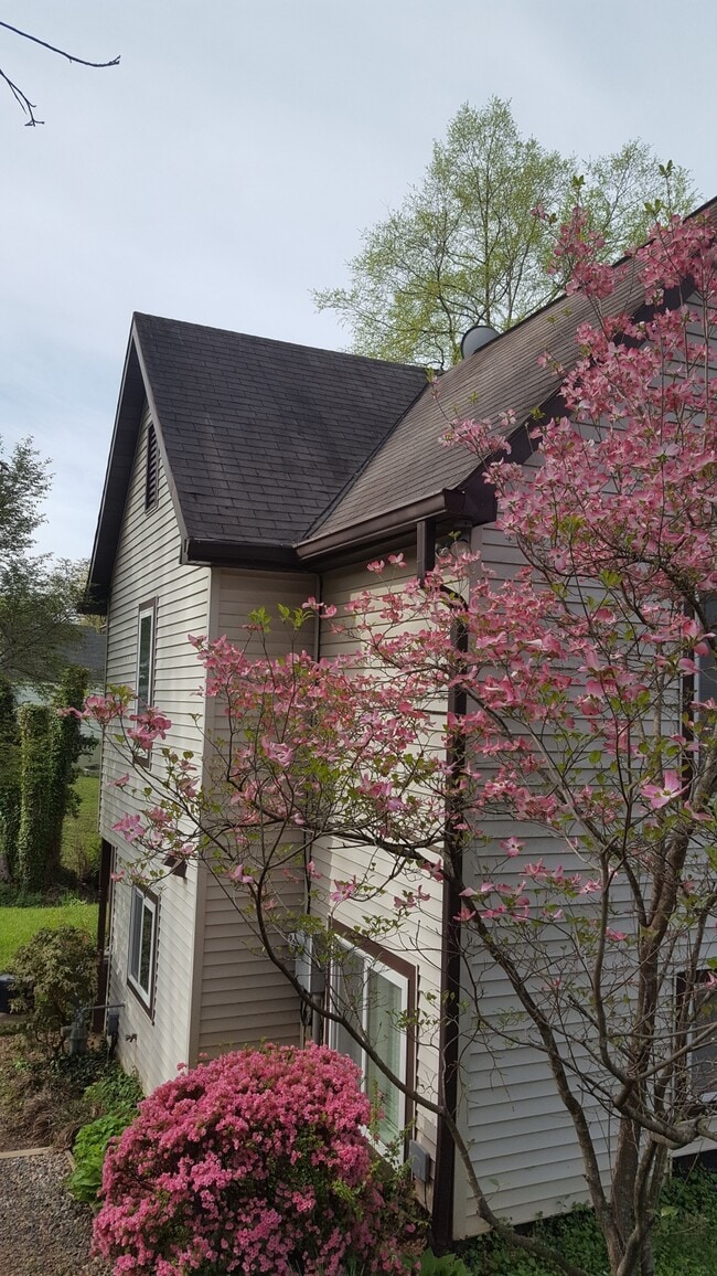 property at 1216 Grove St