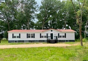 22942 Shell Shore Dr in Bullard, TX - Building Photo