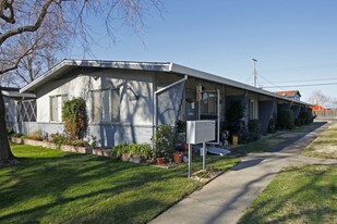 1009 Lochbrae Rd in Sacramento, CA - Building Photo