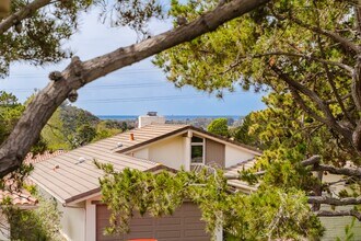 139 Sinaloa Ct in Solana Beach, CA - Building Photo - Building Photo