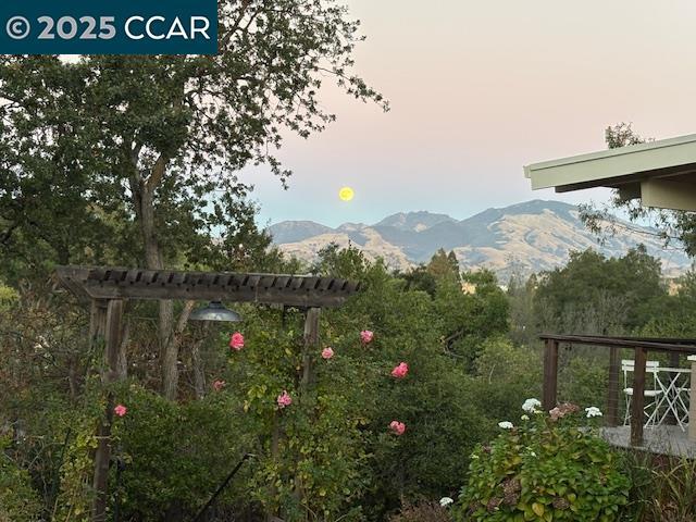 20 Boulevard Ct in Walnut Creek, CA - Building Photo