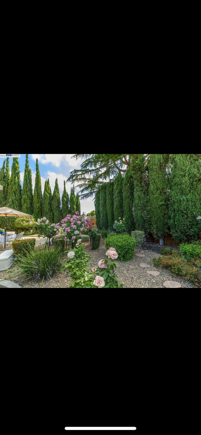 3512 Village Rd in Concord, CA - Foto de edificio - Building Photo