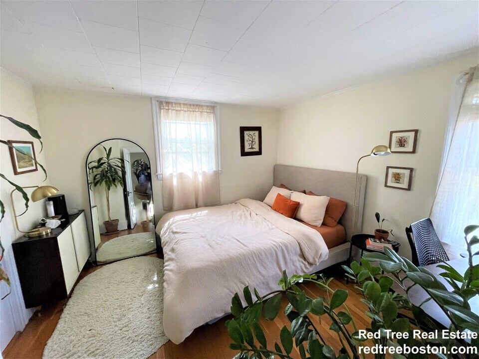 49 Jerome Ave in Newton, MA - Building Photo