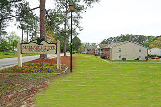 Arbor Landing in Columbia, SC - Foto de edificio - Building Photo