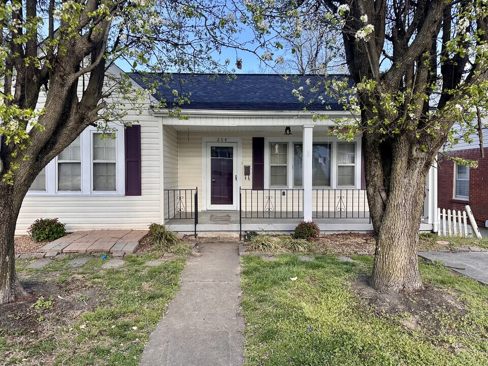 254 Locust Ln in Danville, VA - Foto de edificio