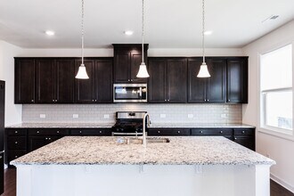1435 Tinos Overlook Way in Apex, NC - Building Photo - Building Photo