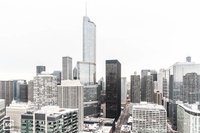 530 N State St-Unit -4917 in Chicago, IL - Building Photo - Building Photo