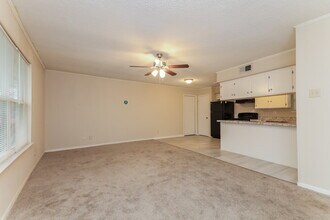 4213 Kirby St in Rowlett, TX - Building Photo - Building Photo
