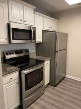 209 Sandy Beach Ct in Suffolk, VA - Building Photo - Building Photo