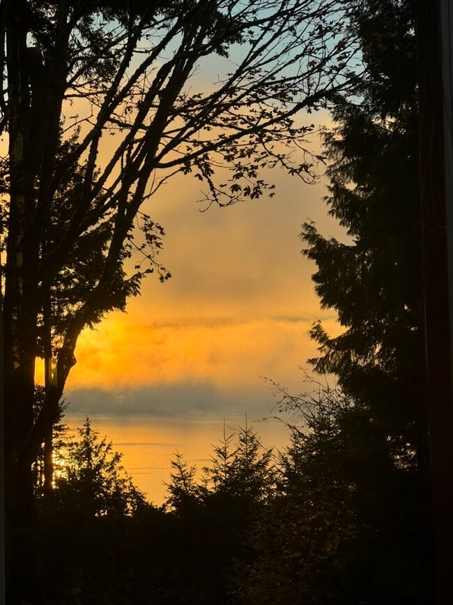 639 W Lake Sammamish Pky NE in Bellevue, WA - Building Photo - Building Photo