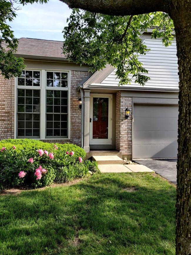 property at 438 Orleans Ave