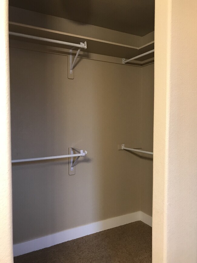 5850 Dripping Rock Ln in Fort Collins, CO - Building Photo - Building Photo