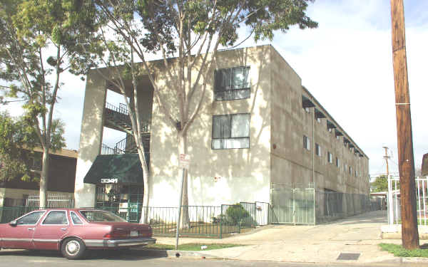 3341 Andrita St in Los Angeles, CA - Foto de edificio - Building Photo