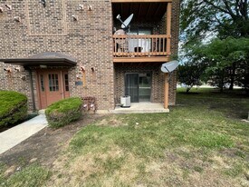 2238 Abbeywood Dr, Unit D in Lisle, IL - Building Photo