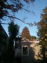 1636 Milvia St in Berkeley, CA - Foto de edificio - Building Photo