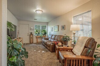 295 Tolman Creek Rd in Ashland, OR - Building Photo - Building Photo