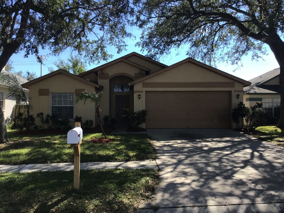 2016 Cattleman Dr in Brandon, FL - Building Photo