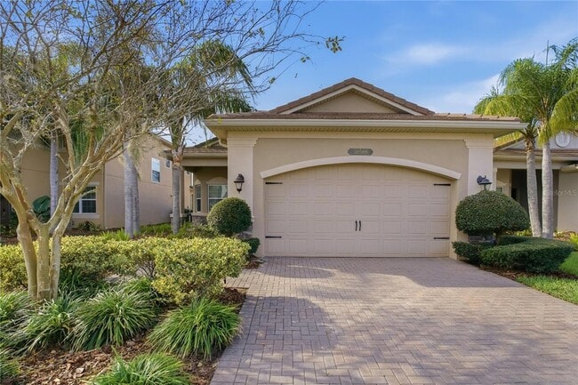 30588 Chesapeake Bay Dr in Wesley Chapel, FL - Building Photo - Building Photo