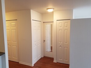 1455 N Sandburg Terrace in Chicago, IL - Building Photo - Building Photo