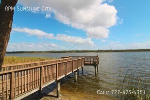 7905 Seminole Blvd in Seminole, FL - Foto de edificio - Building Photo