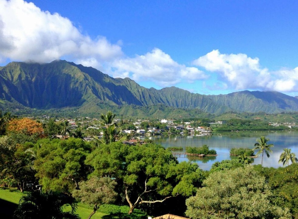 46-65 Konohiki St in Kaneohe, HI - Building Photo