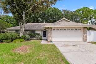 15706 Crying Wind Dr in Tampa, FL - Building Photo