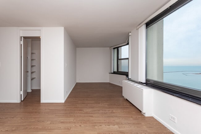 South Shore Beach Apartments in Chicago, IL - Building Photo - Building Photo