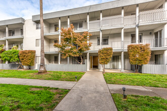 The Palms at Coddingtown in Santa Rosa, CA - Building Photo - Building Photo