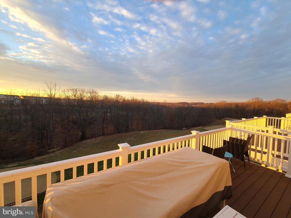 17246 Turnstone Dr in Dumfries, VA - Building Photo