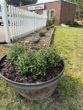 107 Elyria St, Unit Studio #5 in Lodi, OH - Building Photo - Building Photo