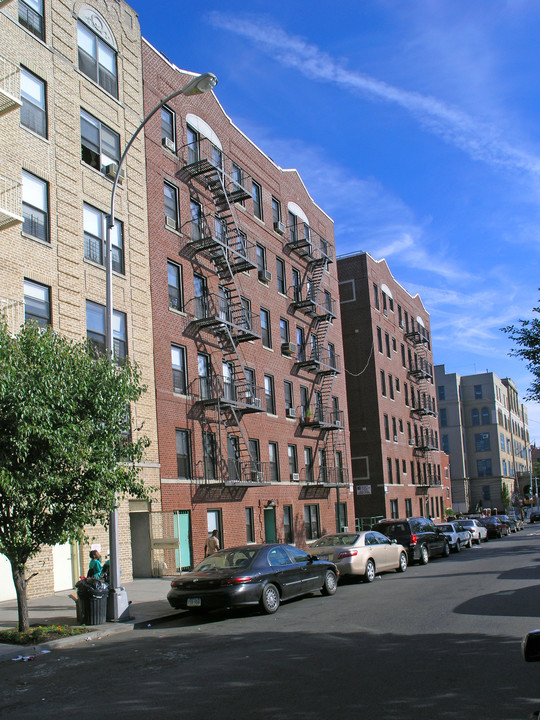 Crotona Estates in Bronx, NY - Foto de edificio