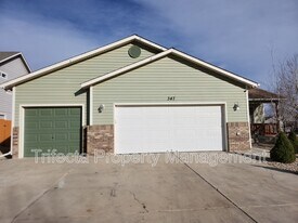 347 Buckeye Ave in Johnstown, CO - Building Photo