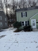 62 Reed St in Worcester, MA - Building Photo