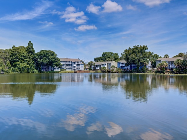 The Ava Apartments, LLC in Tampa, FL - Building Photo - Building Photo